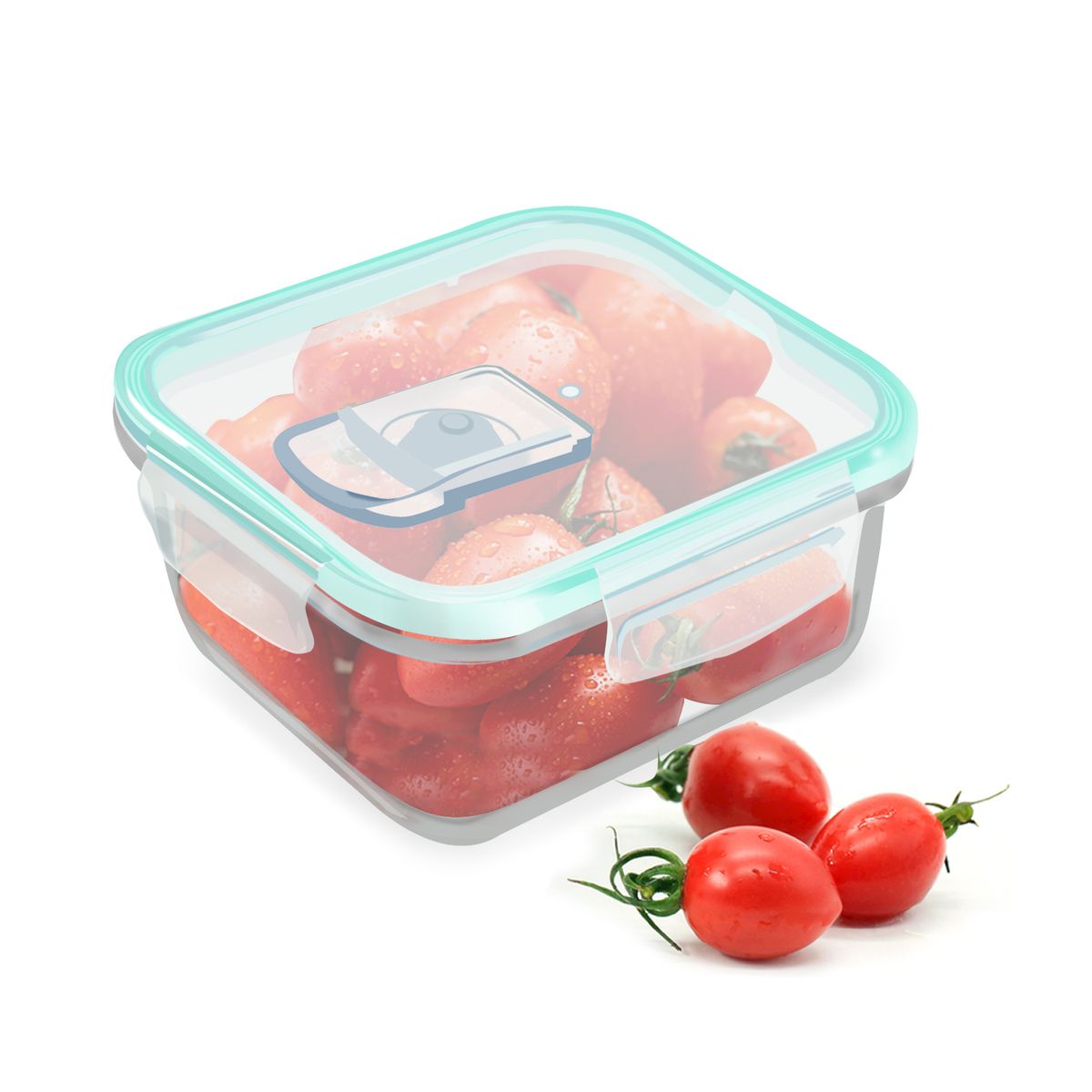 Storage Container, Heat Resistant Glass