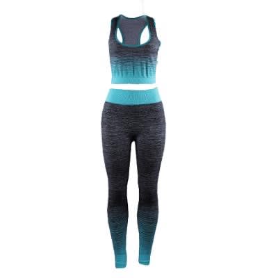 Women's Seamless Yoga Fitness Wear - 2 In 1