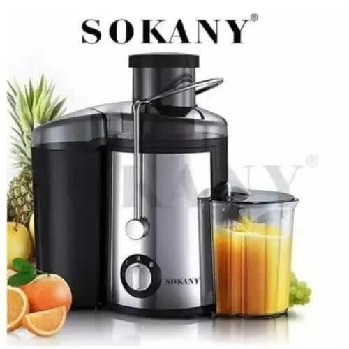 2l High Speed Power Juice Extractor -1000w