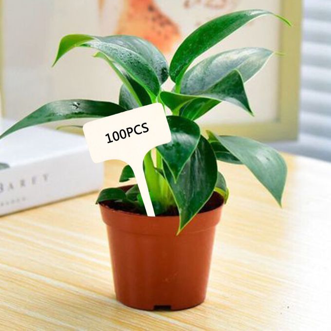 Pack Of 50 Plant Labels Herbs Vegetables Succulent T-Shaped T Type