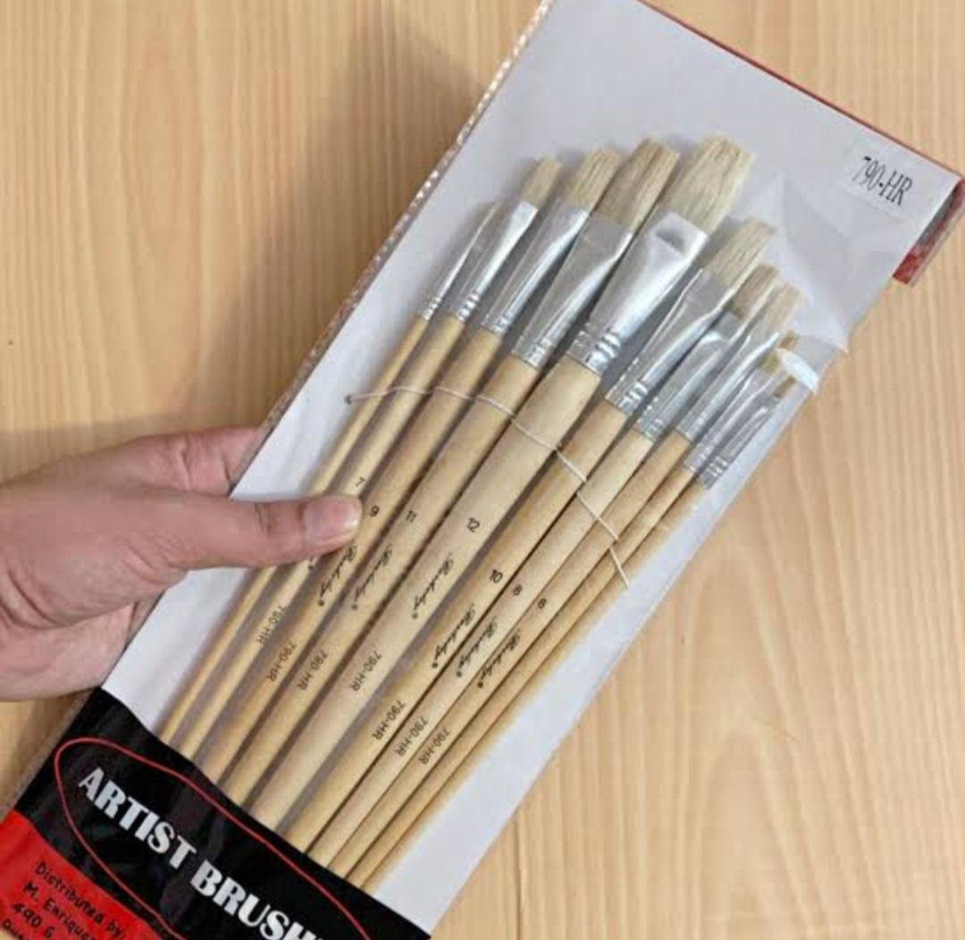 12 Set Of Artist Brush
