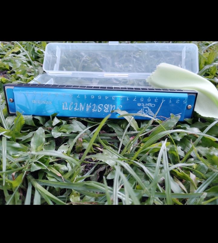 Musical Instrument Mouth Organ For Kids