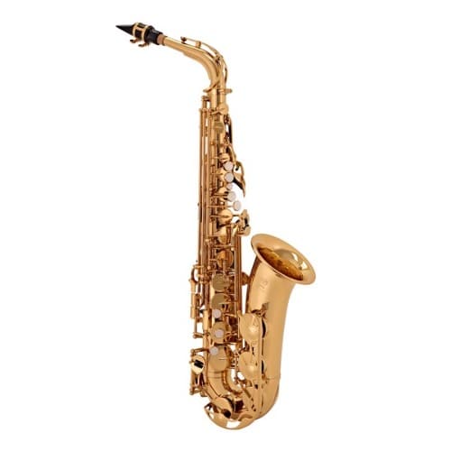 Professional Alto Saxophone Gold