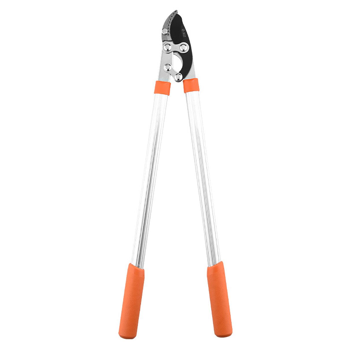 1PCS Pruning The Branches Scissors Fruit Trees Pruning The