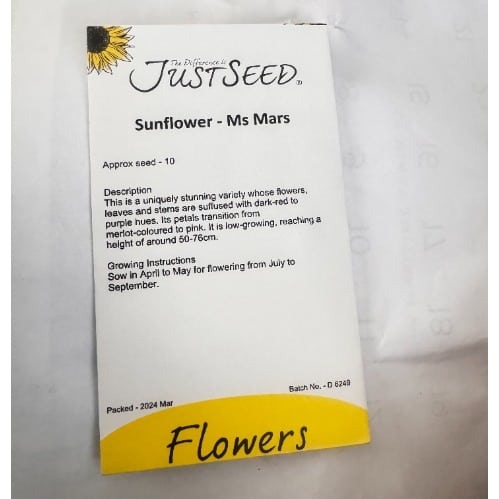 Ms Mars Sunflower Seeds -10seeds