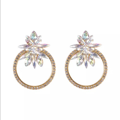 Chic Fashion Earrings