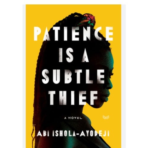 Patience Is A Subtle Thief - A Novel