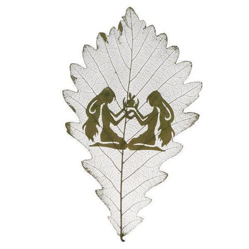3X Constellations Design Leaf Carving Art Natural Real Dried Leaves