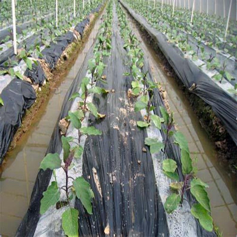 5m 2-Rows  Agriculture Black Film Vegetable Planting Plastic Mulching Film Plants Pest-White Black 0.008mm