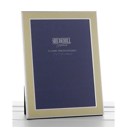 Photo Frame- Classic Gold- 8x10&rdquo;