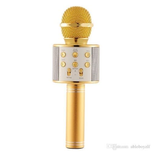 Ws-858 Wireless Microphone Hifi Speaker