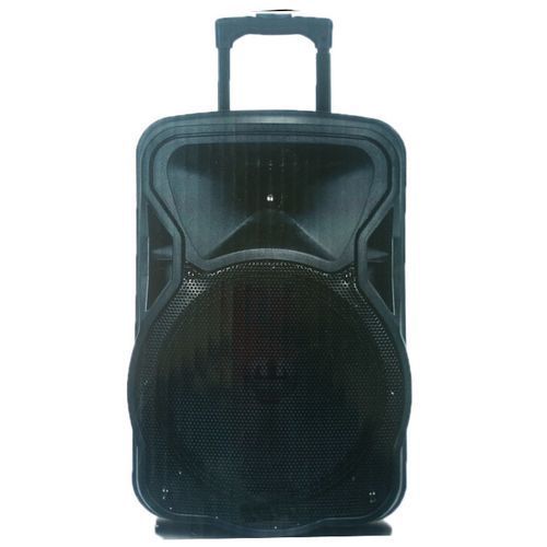 Long Lasting Battery 10'' Bluetooth Rechargeable Public Address System With Two Wireless Microphone.USB Port,SD Port And FM Radio