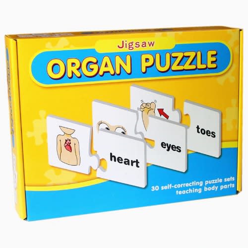 Organ Puzzles Play Mat For Kids