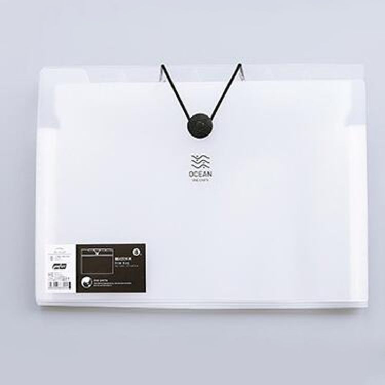 A4 Multi-layer Buckle Matte Transparent Folder