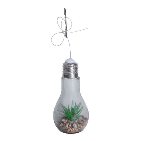 Flower In A Glass Bulb - B25 Aloe - 18cm