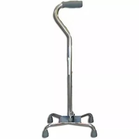 Walking Stick - Tetrapod