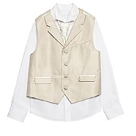 Boys Taupe Striped Waistcoat Set -Age 16