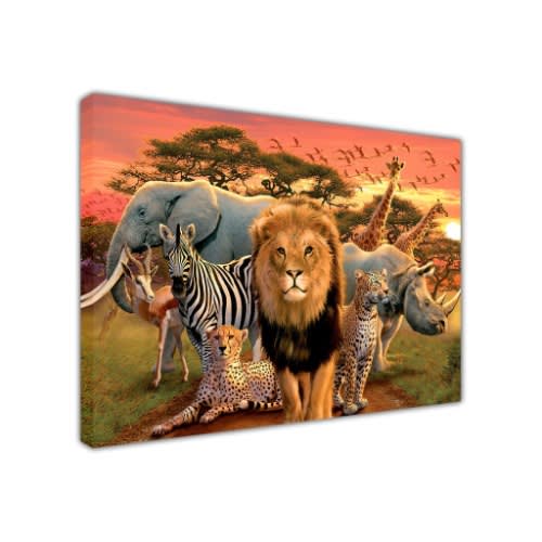 Animal Kingdom - 90cm X 67cm