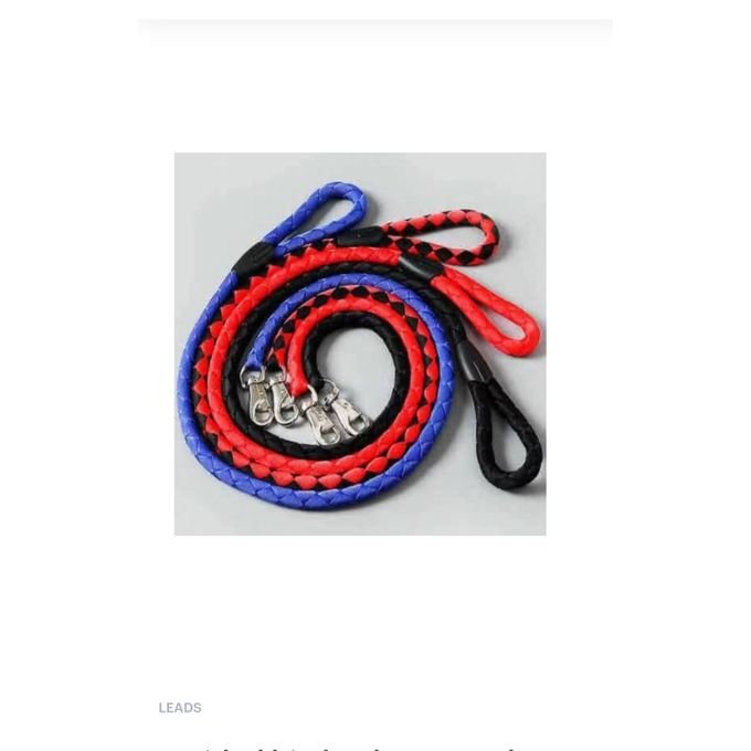 Wooven Big Lead 2.5cm By 120cmL