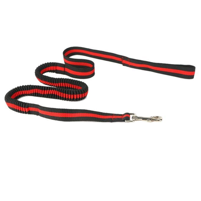 Noctilucent Elastic Adjustable Retractable Lead Rope Dog-