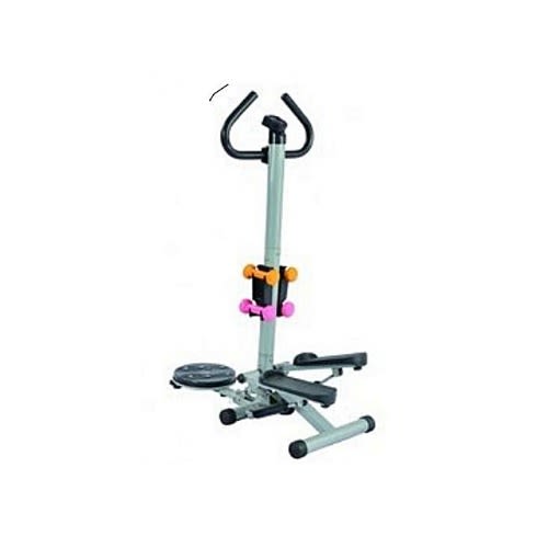 Generic Standing Stepper With Twister And Dumbbells