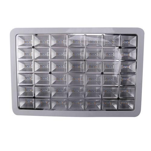 Storage Box Mysterious Treasure Chest Adult