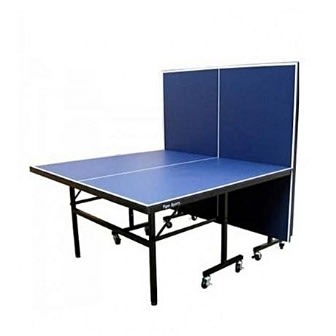 Mobile Table Tennis Indoor Board