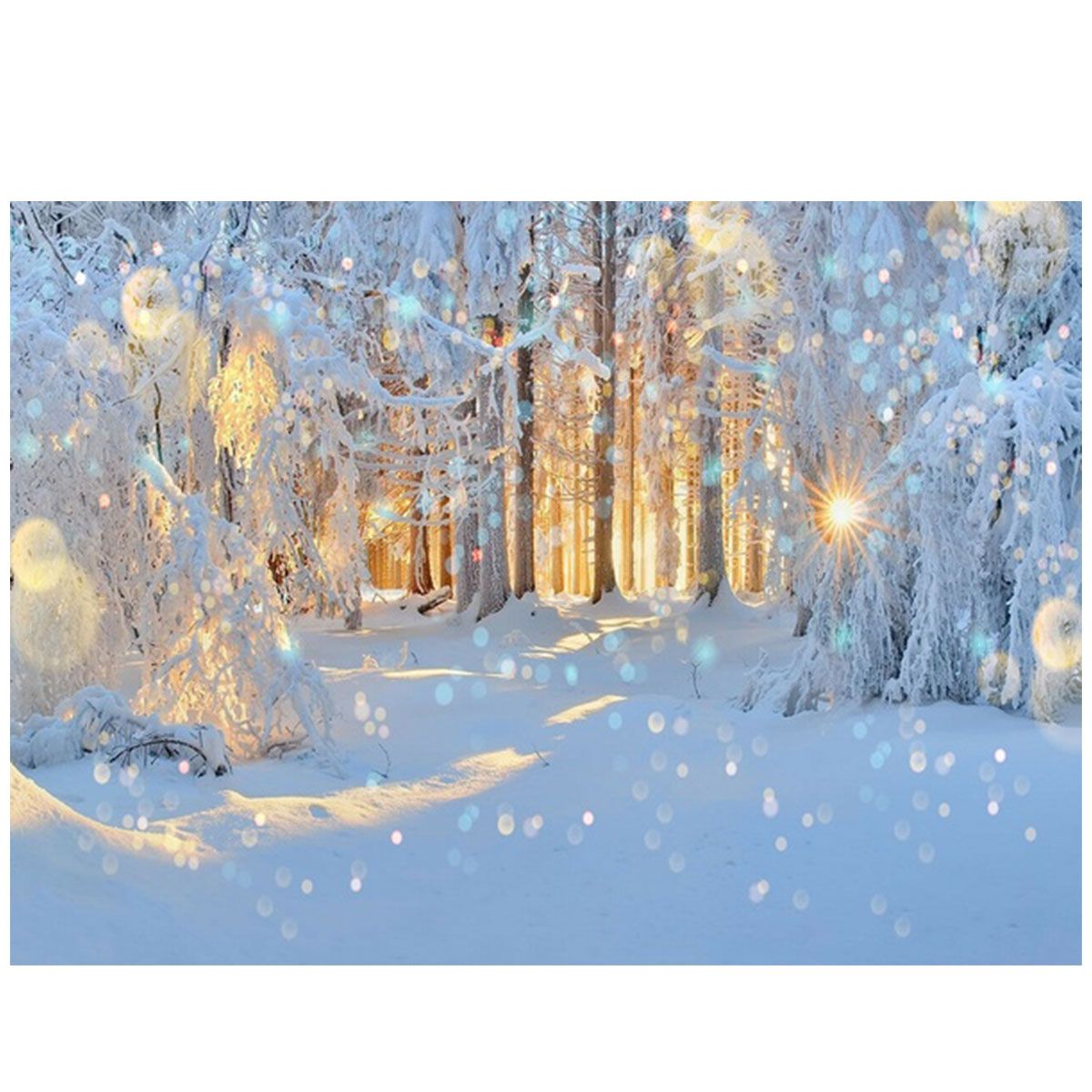 Sunshine Snowy Trees Photography Background Studio Backdrop