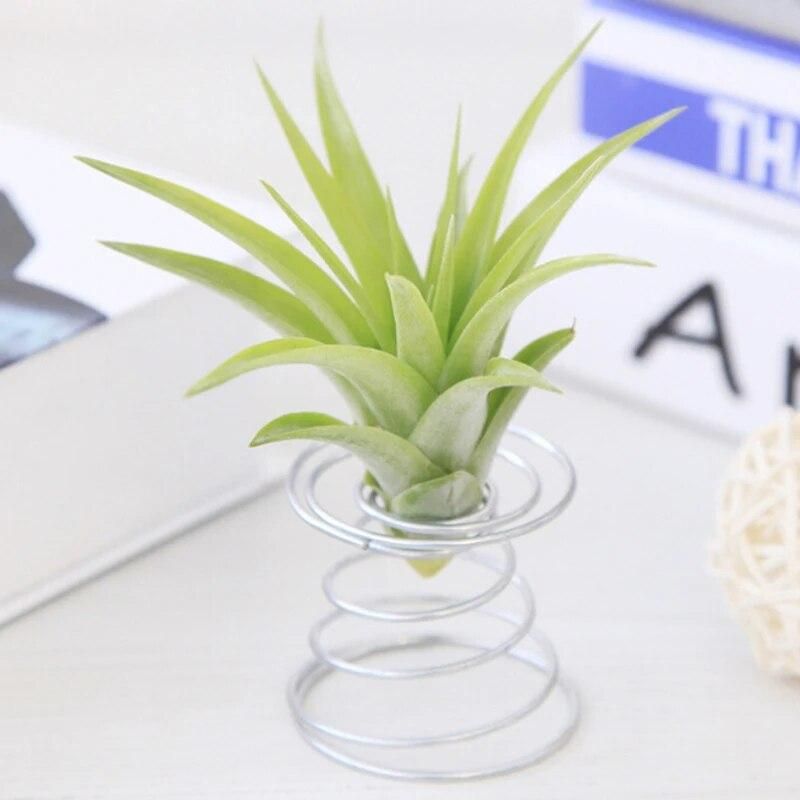 Metal Planter Desk Tabletop Till Andsia Stand Holder 3.7cm Flower Stand Container Home Storage Mini Decorative