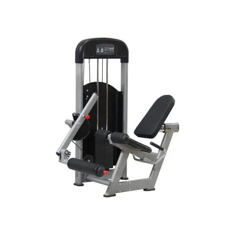 American Fitness Commercial Leg Extension Machine
