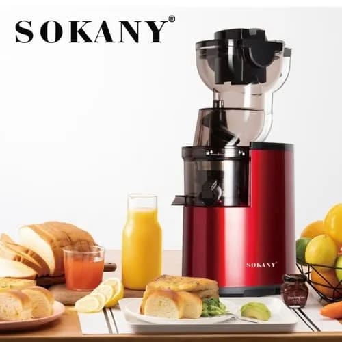 Portable Multifunctional Whole Slow Juicer - 300W