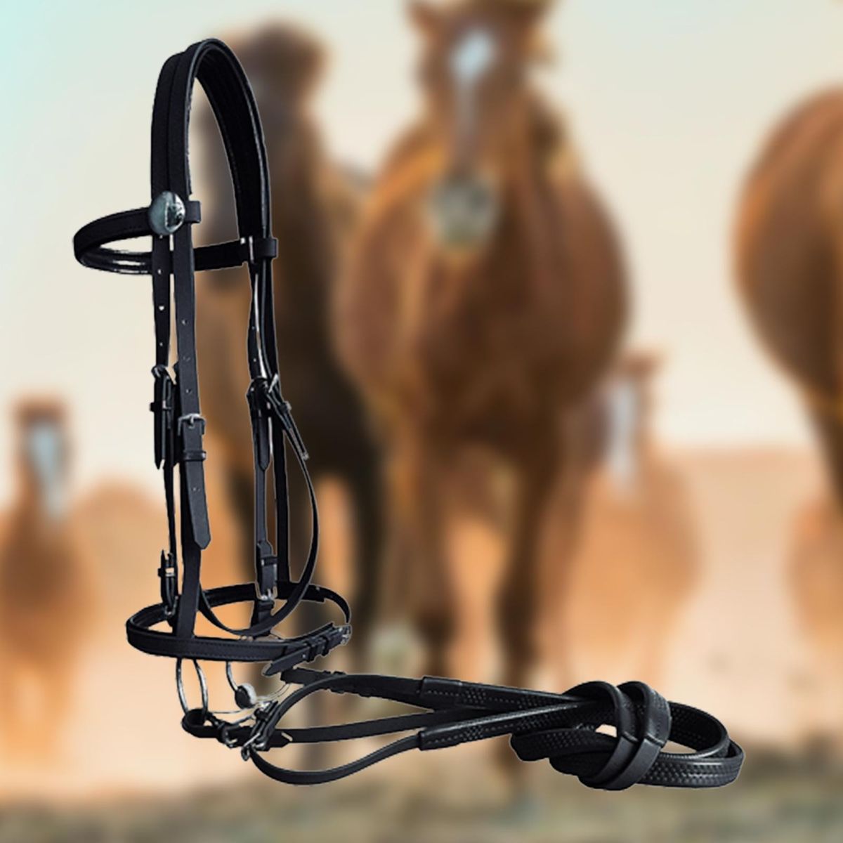 Horse Bridle With Rein Synthetic Saddle Side L Size Black
