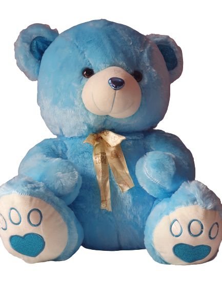 Blue Cute Fluffy Teddy Bear
