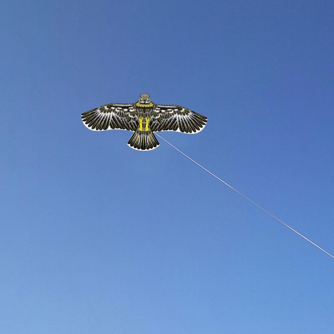 Kids Eagle Kite Kids Toys DIY Toy Children Flying Game For Black