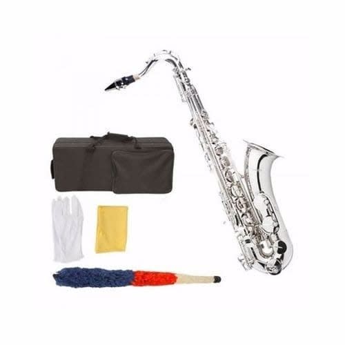 Alto Saxophone With Complete Accessories - Silver