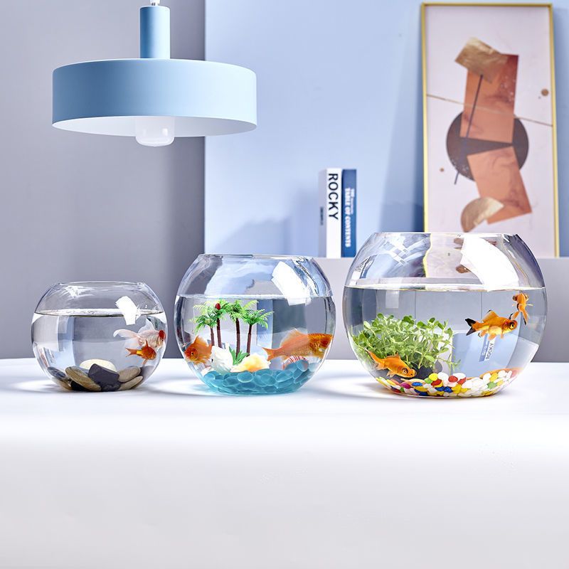 Fishbowl Aquarium