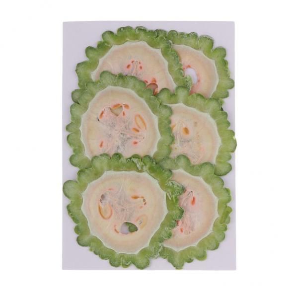 2X 6 Piece Dried Vegetable Bitter Gourd Slice Christmas Craft Wreath