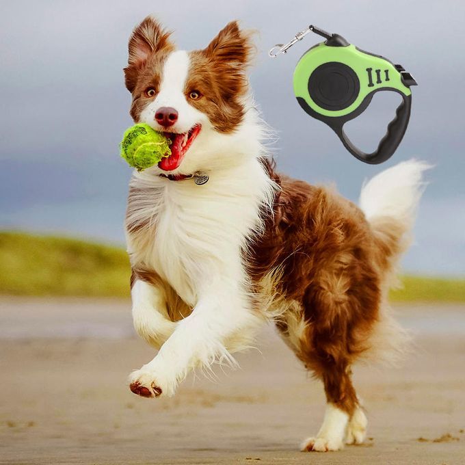 Long 5m Retractable Dog Leash Dual Locking Extendable Dog Green