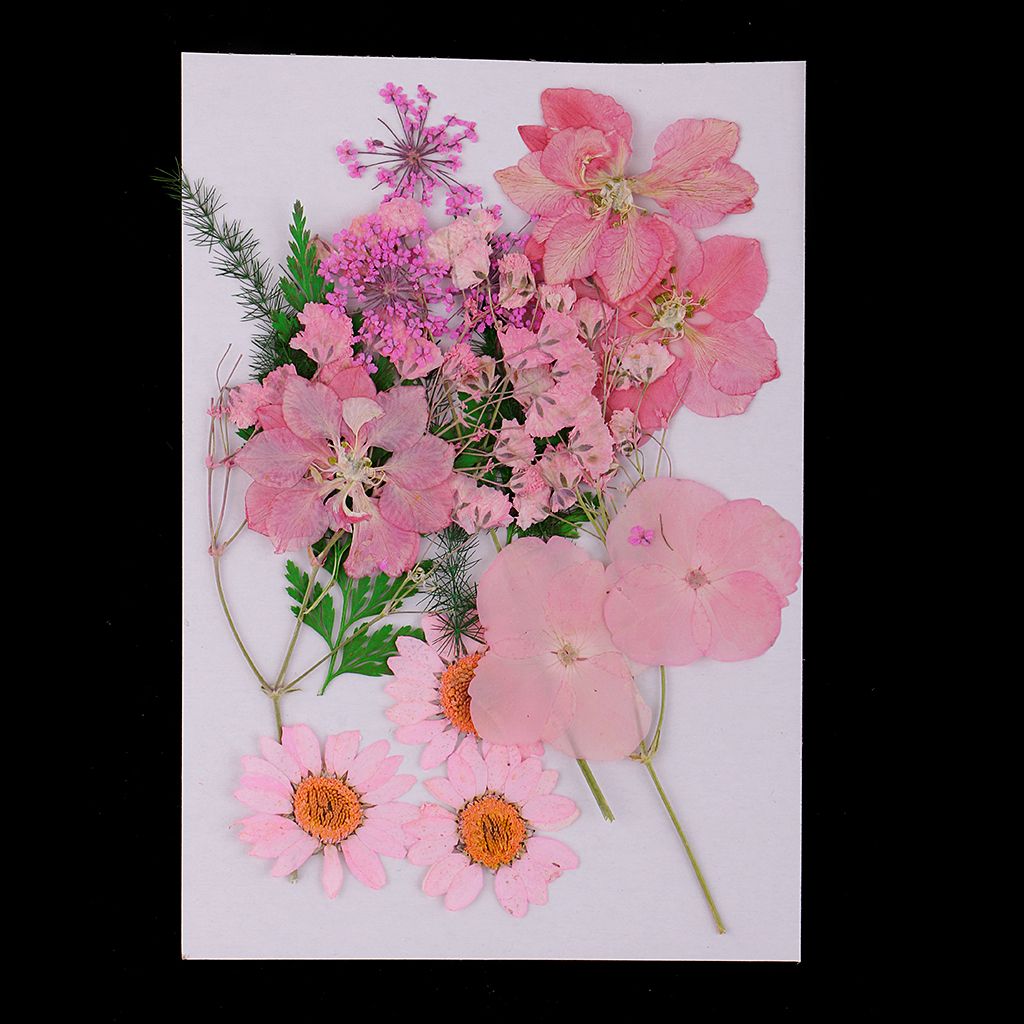 Bulk  Press Leaves Dried Flowers