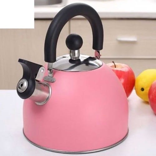 Modern Whistle Stainless Steel Kettle - 3 Litres