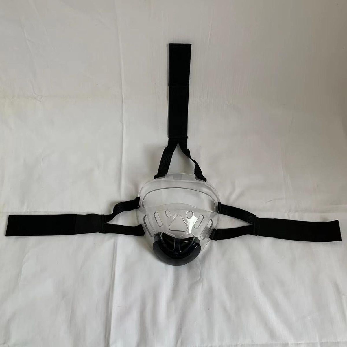 Taekwondo  Kids Taekwondo Face   Guard