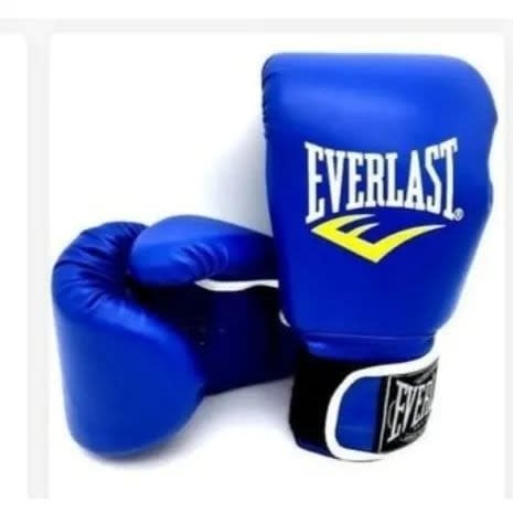 Everlast Boxing Gloves - Blue