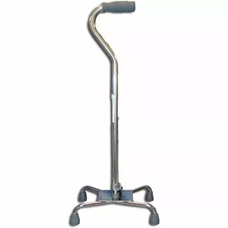 Walking Stick - Tetrapod