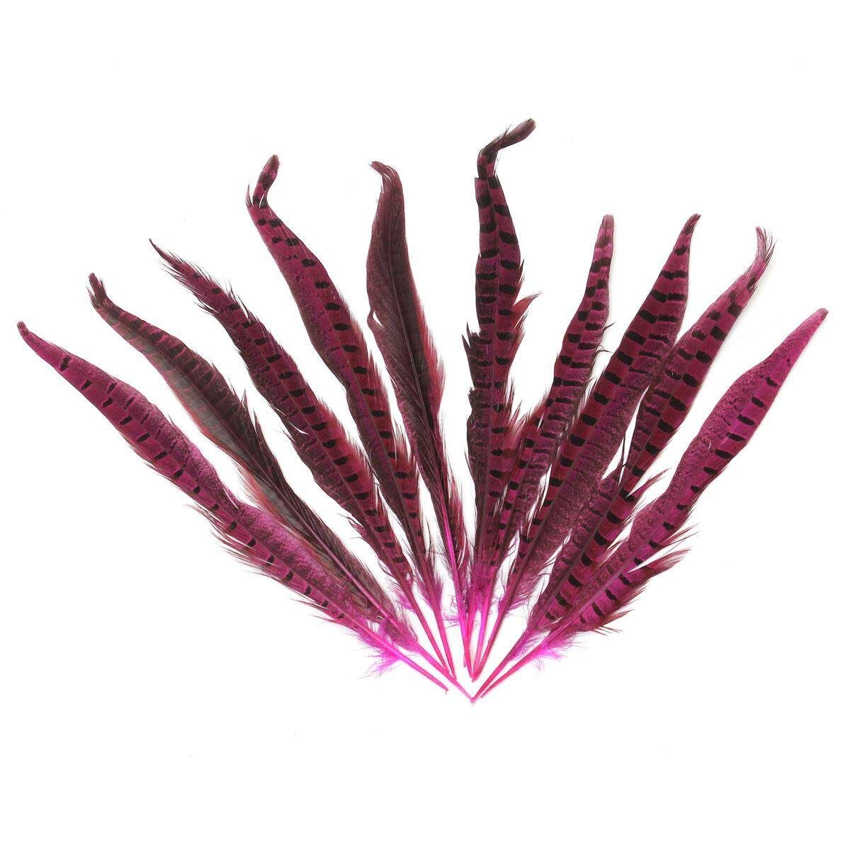 10Pcs Beautiful Pheasant Tail Feathers 12-14 Inch Long Costume Millinery Multicolor Rose Red