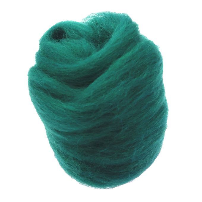 10g Green  Felting Natural Collection For Animal Dark Green