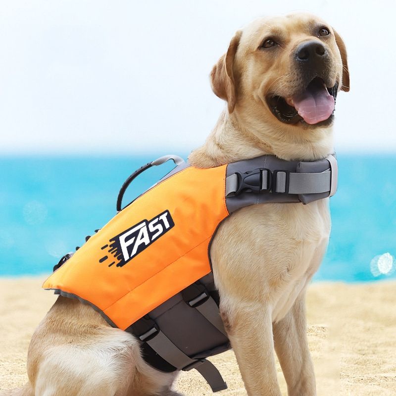 Pet Dog Life Jacket Swimsuit, Size: XL