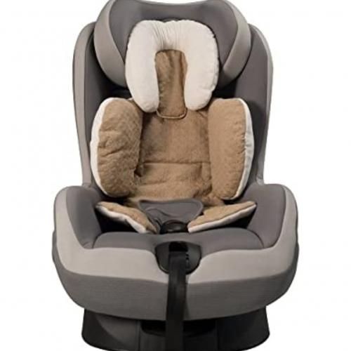 Head And Body Support For Car Seat And Stroller