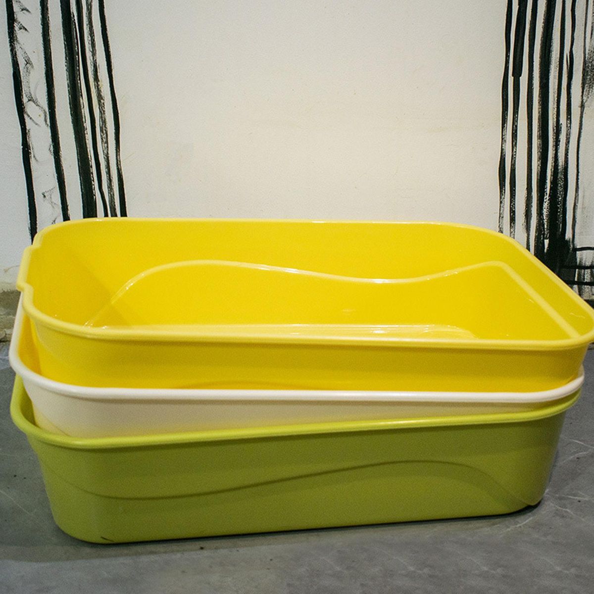 Cat  Open  Tray Easy To