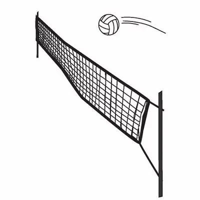 Professional Volley Ball Net