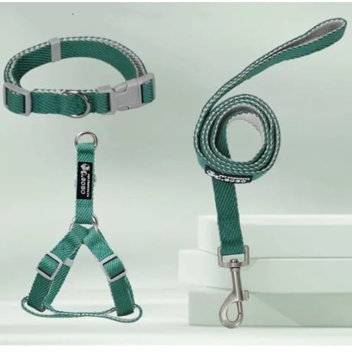 Green Dog Collar Set